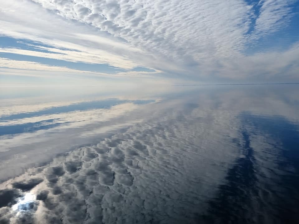 278772594_347153784059894_2049975540860285728_n